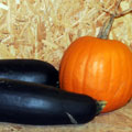 Our Farm In Your Classroom