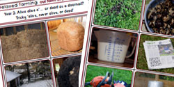 Our Farm In Your Classroom