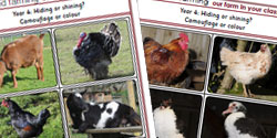 Our Farm In Your Classroom