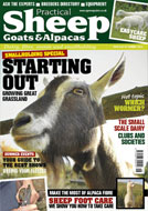 Practical Sheep, Goats and Alpacas