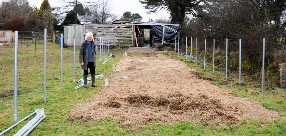 Relaxed Farming